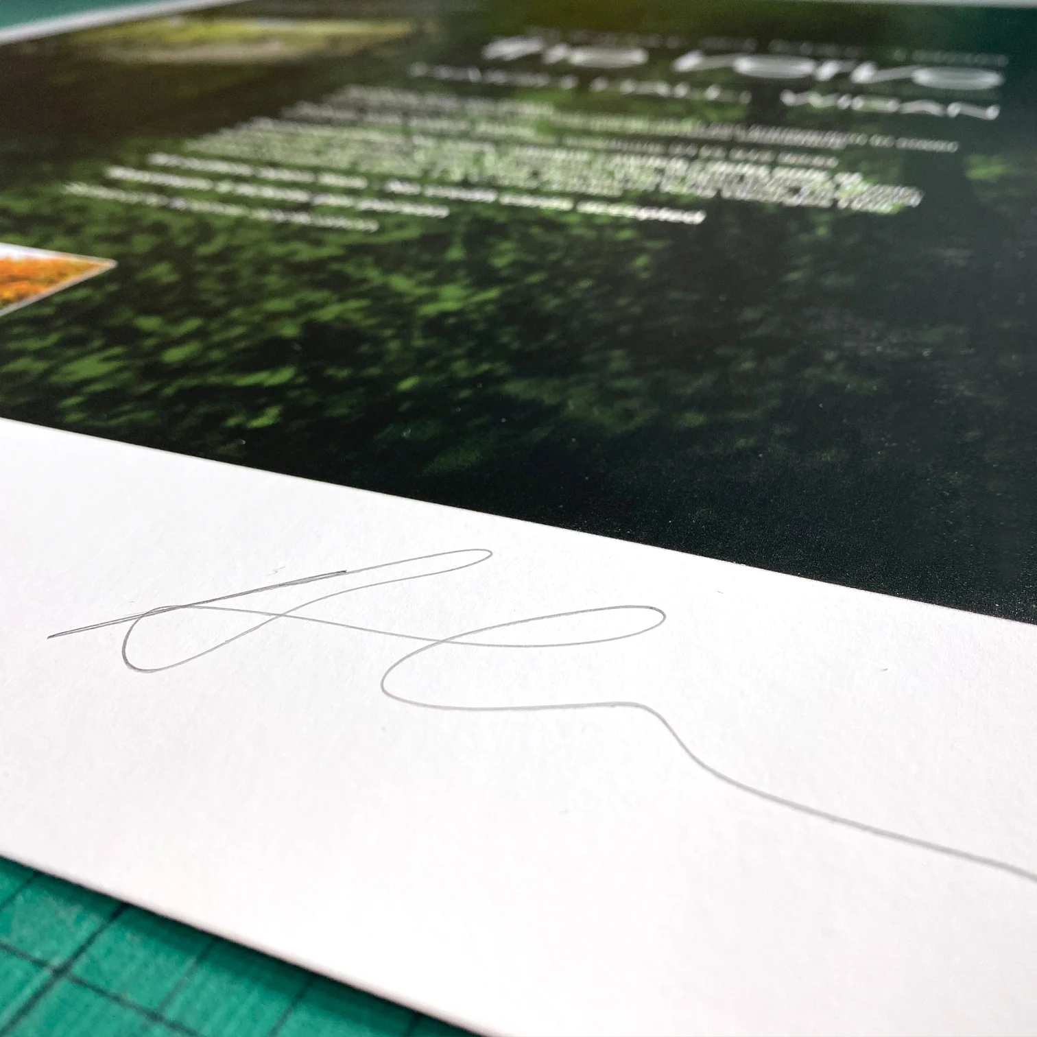 The Verve - Live At Haigh Hall 1998 Print - Image 3